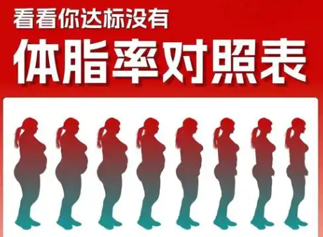 BMI多少不算胖？体脂率多少算正常！-微丽宝