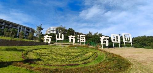 知名企业的十大经验:IT外包有必要投入吗?